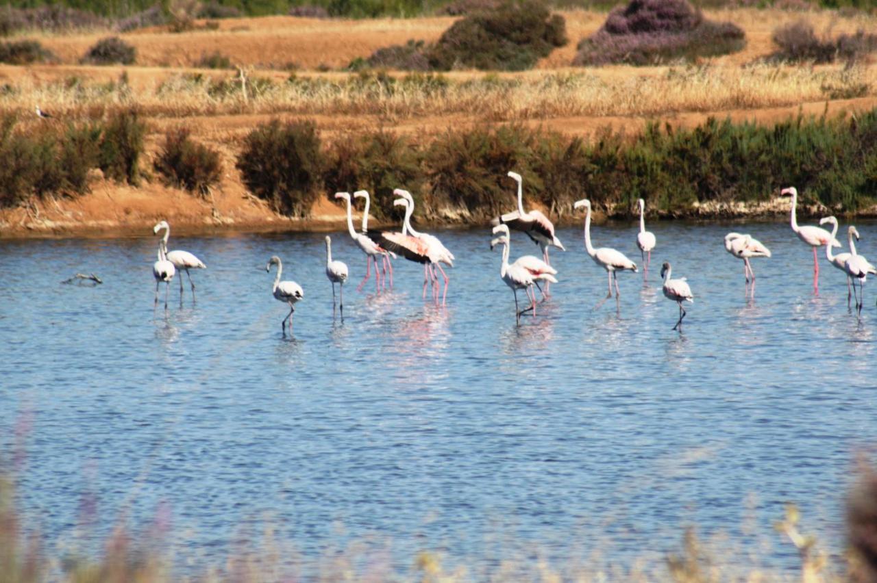 פארו Herdade Dos Salgados Do Fialho מראה חיצוני תמונה